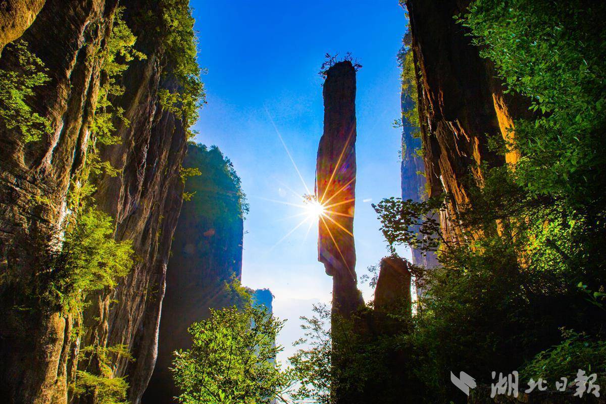 手机版玛丽水果机5个7
